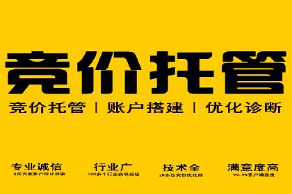 SEM专员案例：广告投放策略调整